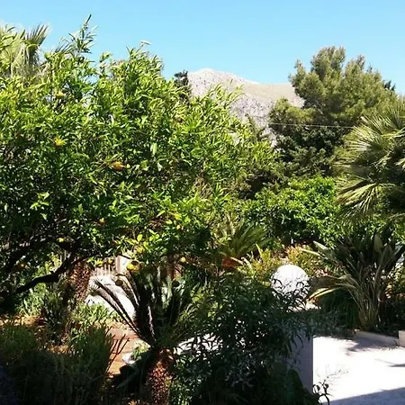 Angela Holiday Apartment San Vito Lo Capo